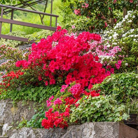 Bellavista Garden And Flowers Varenna Exterior photo