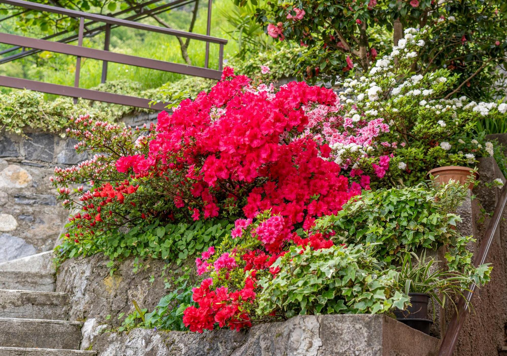 Bellavista Garden And Flowers Varenna Exterior photo